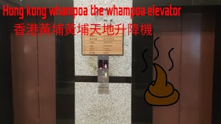 Elevator at hong kong the whampoa from whampoa 香港黃埔黃埔天地升降機 [upl. by Aelem]