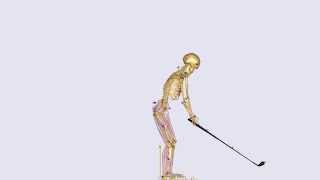 Golf swing motion analysis using C3D file [upl. by Edasalof]