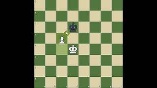 DRAW or WIN chesstrending viral tactics chessgames chessmaster brilliant shorts [upl. by Erodeht]