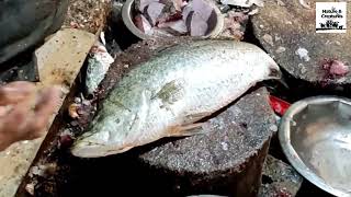 Big Koral Fish Fast Cutting technic  Fish Cutting Video  Bangladeshi Fish Market [upl. by Serafine]