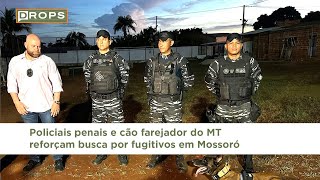 Policiais penais e cão farejador do MT reforçam busca por fugitivos em Mossoró [upl. by Eilitan]