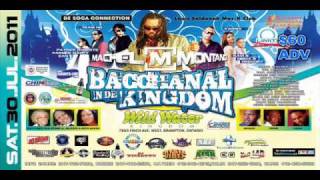 Bacchanal In De Kingdom  TORONTO CARNIVAL 2011  WILD WATER KINGDOM [upl. by Nibbs693]