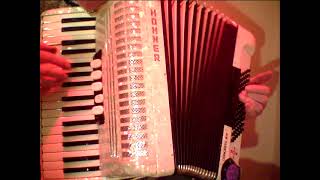 Gander in the Pratie Hole Hohner piano accordion [upl. by Domingo]