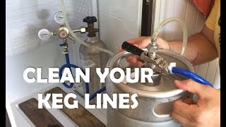 How to clean your kegerator beer lines  DO IT [upl. by Akeenahs]