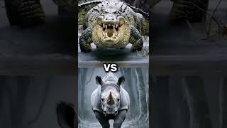 Rhinoceros vs Lion ai aiart art animals hybridanimals uniquecreatures fascinatingcreatures [upl. by Storz]