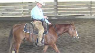 Horse Training TuneUp For Sale Horse  Reining amp Cow Work [upl. by Alexandra]