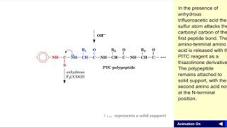 Edman degradation [upl. by Guibert986]