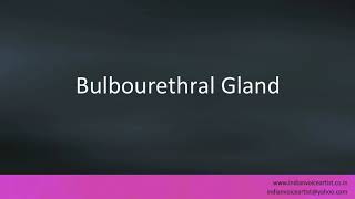 Pronunciation of the words quotBulbourethral Glandquot [upl. by Nyberg]