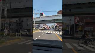 【江戸川区マニアック】鹿本小学校前交差点🚥松本連続陸橋前の信号待ち [upl. by Verner]