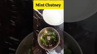 Mint Chutney  podina chutney Recipe easyrecipe [upl. by Enid]