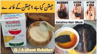 what is Gelatin detailed QA about gelatine  Gelatin secret Hair Growth Mask [upl. by Francyne]