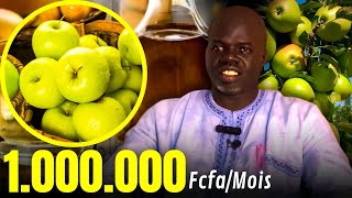 Business Si POMME 🍏 De 0 à de 1000000mois   Pr Ousmane Ndiaye  SAMA XALAA TV [upl. by Lynn784]