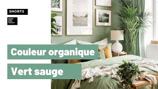 Inspiration couleur organique  Vert sauge [upl. by Adiela]