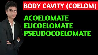 What is body cavity  coelom  Acoelomate pseudocoelomate eucoelomate  All concepts explained [upl. by Carry]