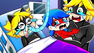 No Way Baby Cat Noir fighting Dont leave baby LadyBug LadyBug Life Story Animation [upl. by Ahsinehs621]