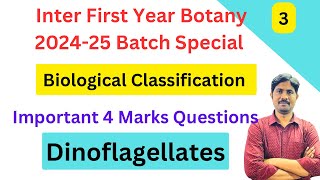 Dinoflagellates  Biological Classification Important Marks Questions  Inter First Year Botany [upl. by Hamnet792]