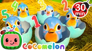 Count the Five Little Birdies  CoComelon Animal Time  Learning with Animals  Nursery Rhymes [upl. by Devine]