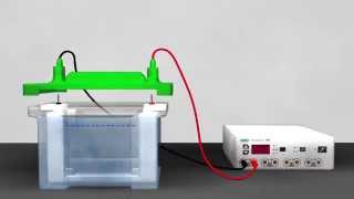 Western Blotting Animation  Part II [upl. by Mcspadden]