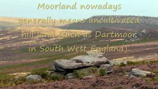 Heathland and Moorland biomes Movie [upl. by Chan]