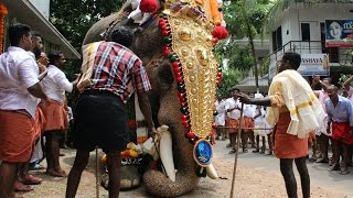 Thechikottukavu Ramachandran 2017 Karamukku Vishu Pooram [upl. by Asirrac]