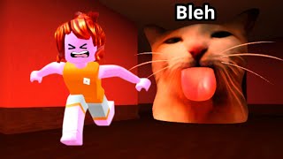 Roblox escape bleh cat… [upl. by Hnacogn]