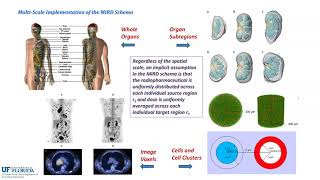 Dosimetry Methods for Radiopharmaceutical Therapy [upl. by Nuzzi834]