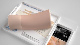 POPLITEAL  IPAC NERVE BLOCK ULTRASOUND SIMULATOR [upl. by Kally303]