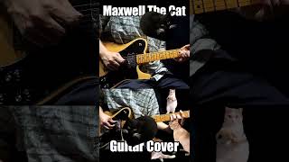 Maxwell The Cat Mr Weebl  Stock Market Guitar Cover [upl. by Brodie270]