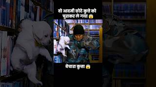 इस प्यारे से कुत्ते के बच्चे को उस आदमी ने चुरा लिया 😱  short anime cartoon dog [upl. by Aber247]