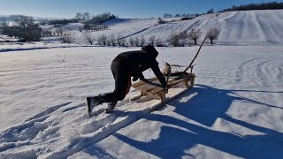 Ne ducem la pădure cu sania să aducem lemne dar Tiberiu vrea la săniuș [upl. by Adnwahsat]