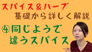 【 スパイス＆ハーブについて基礎から詳しく解説 ④同じようで違うスパイス からしとマスタード カレー粉とカレールウ 】 Same but different spices [upl. by Attem91]