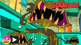 Courage the Cowardly Dog  Man Eating Plants  Cartoon Network [upl. by Enneirdna]