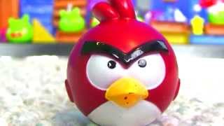 Epic Angry Birds War  Must See [upl. by Eissoj]