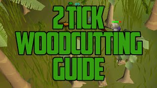 2t Woodcutting Guide  OSRS  150k180k XPHR [upl. by Ynetsed]