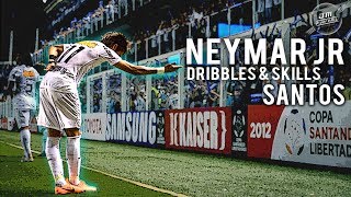 Neymar Jr  Dribbles amp Skills Santos  HD [upl. by Fricke]