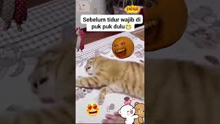 Sebelum tidur kucing ini minta di puk puk dulu⁉️ trending facts faktamengejutkan trendingshorts [upl. by Kaule769]