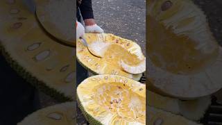 Amazing Jackfruit cutting skills  Thai street food shorts [upl. by Lull]