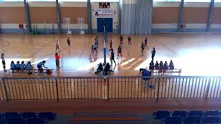 Voleibol Vinalopó vs Finnestrat 3º set parte 1  Monforte del Cid  Temporada 202425 [upl. by Barrow231]