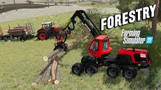 Tree Cutting With Komatsu 931XC Harvester  Farming Simulator 22 [upl. by Oliric]