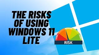 The Risks of Using Windows 11 Lite [upl. by Skardol788]