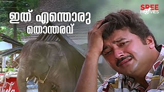 ഇത് എന്തൊരു തൊന്തരവ്  Pattabhishekam  Jagathy  Jayaram  Indrans  Comedy Scene [upl. by Lyns768]