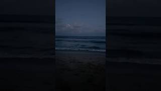 🥲20102024 Bioluminescence Beach Chennai⁉️ bioluminescence chennai bluewaves shortstamil [upl. by Cole]