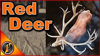 My Best Red Deer Strats Pt 2  theHunter Call of the Wild 2018 [upl. by Cacia]