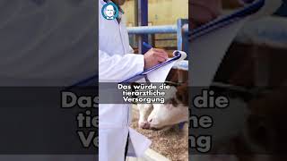 Tierärzte und Tiermedizin tiere medizin deutschland landwirtschaft [upl. by Shelly]