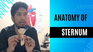 Anatomy of sternum Manubrium body and xiphoid process Bangla Lecture [upl. by Dviad743]