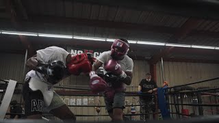 LAMONT ROACH TRAINING HIGHLIGHTS ▶ BOXING ● SPARRING ● CONDITIONING [upl. by Summer]