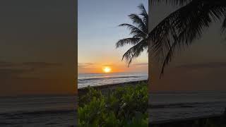 Sunrise at holiday inn kandooma resorts shortvideo travelmaldives sunrise holidayinnmaldives [upl. by Ailecec752]