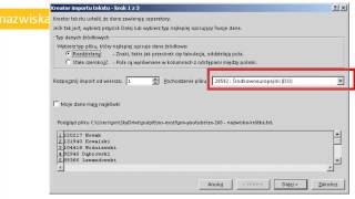 excel160  Import danych txt csv 14  pochodzenie kodowanie polskie znaki diakrytyczne [upl. by Abad891]
