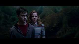 Harry Potter and the Order of the Phoenix Deleted scenes [upl. by Etnahc518]