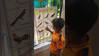 Birds Of Bangladesh education educationwithfun kidsschool [upl. by Irisa]